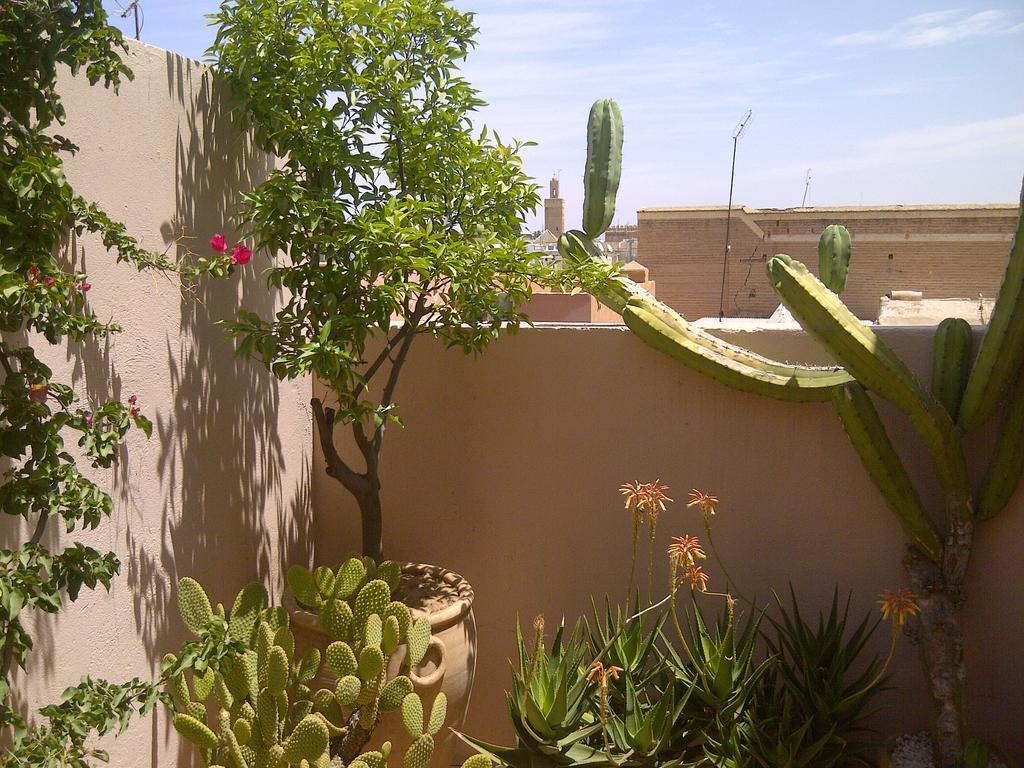Riad Irene Marrakesh Eksteriør billede