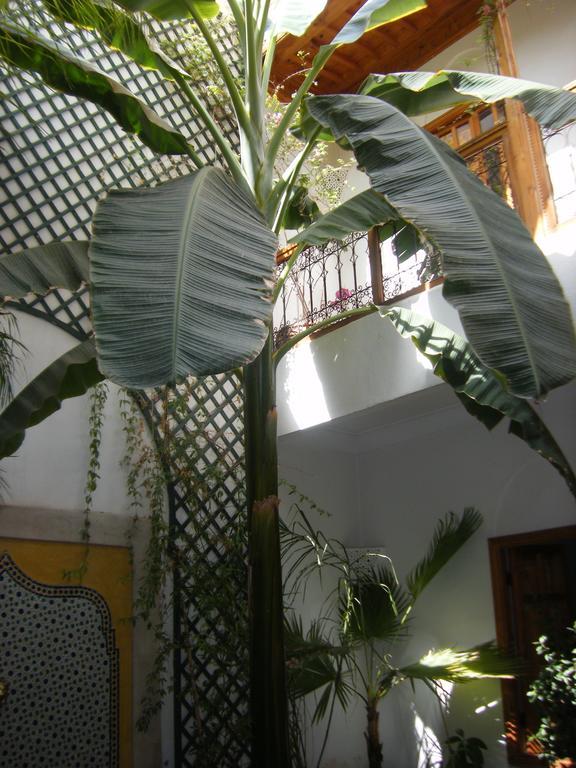 Riad Irene Marrakesh Eksteriør billede